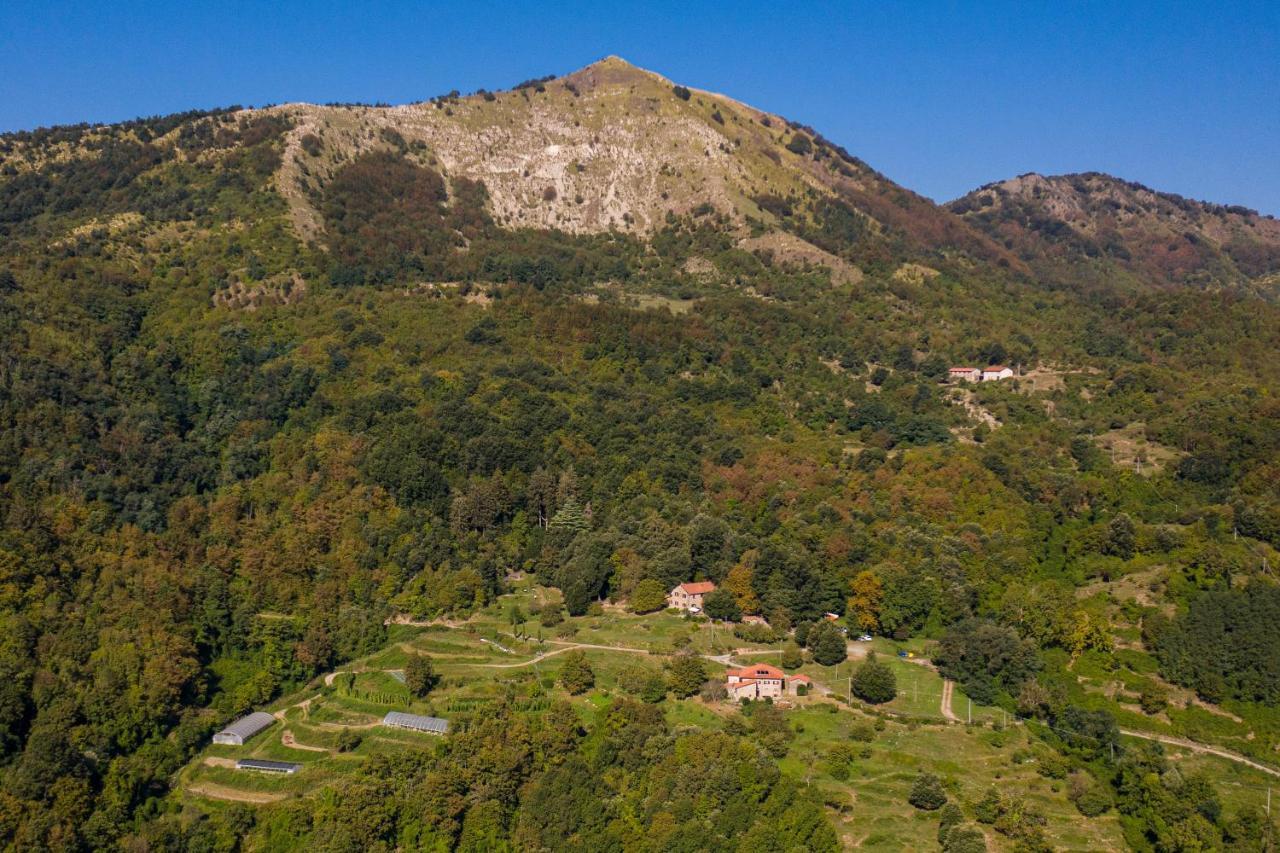 Agriturismo Giandriale Tavarone Ngoại thất bức ảnh
